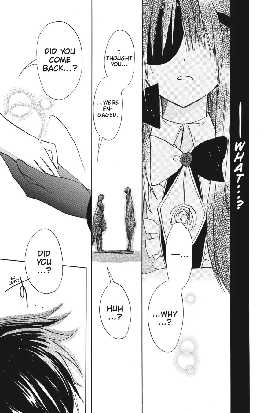 The Reincarnated Villainess' Dark History chapter 49 page 25