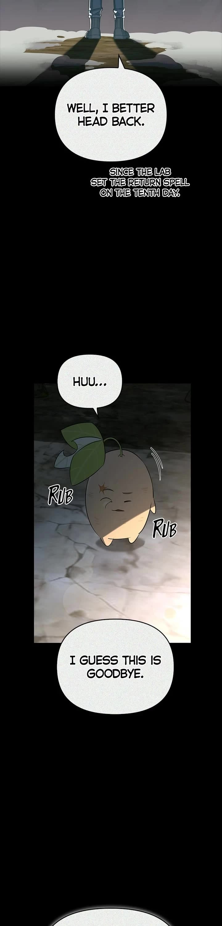 The S-Rank Hunter's Healing Life with Monsters chapter 24 page 36