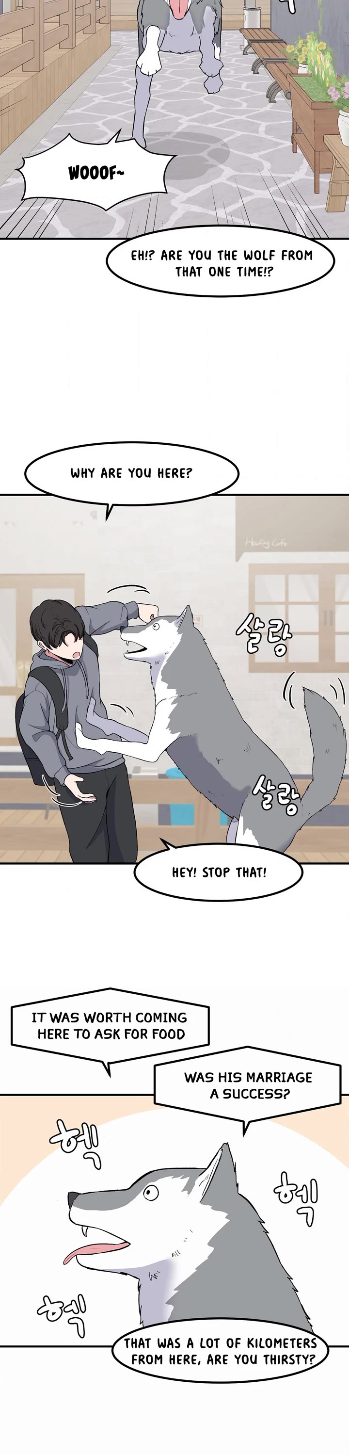 The Secret of the Partner Next to You chapter 81 page 17