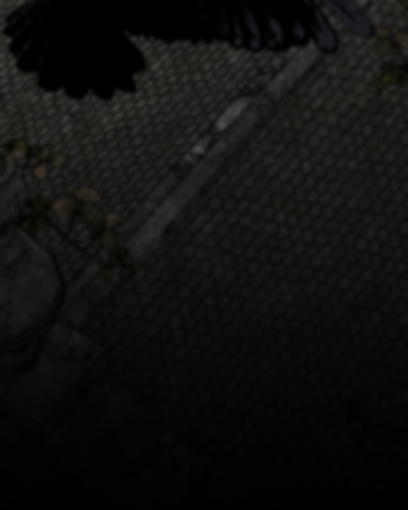 The Silent Warrior chapter 11 page 63