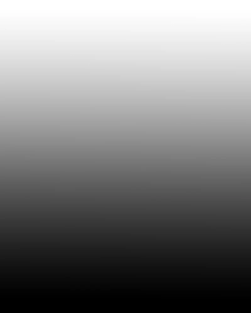 The Silent Warrior chapter 34 page 230