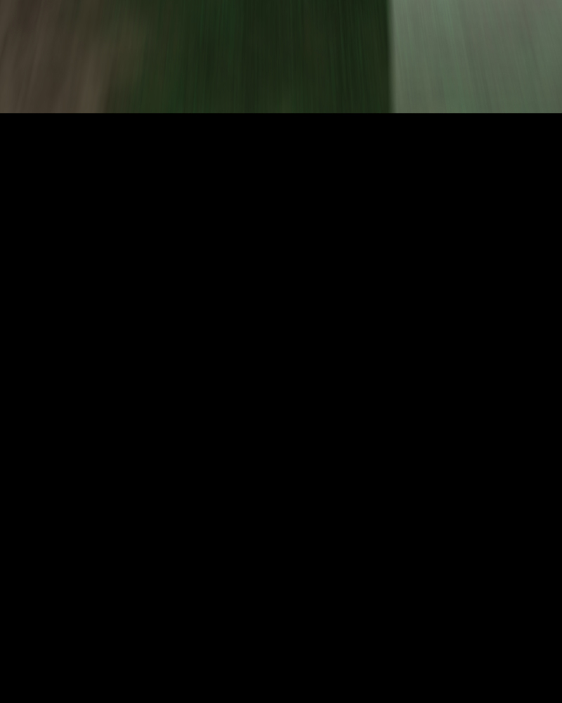 The Silent Warrior chapter 34 page 269