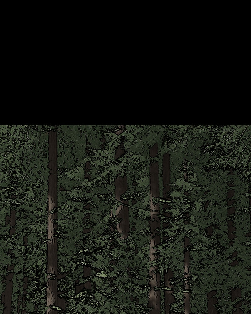 The Silent Warrior chapter 5 page 1