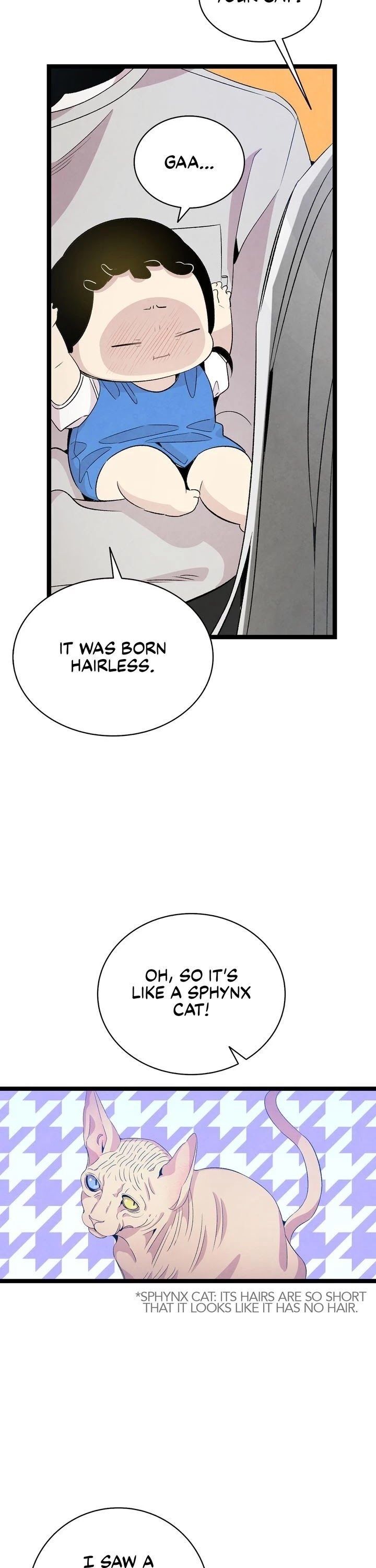 The Skeleton Becomes a Cat Dad chapter 69 page 17