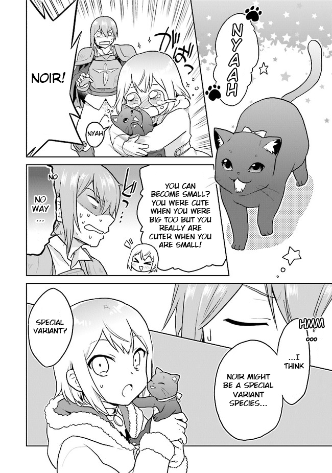 The Small Sage Will Try Her Best In the Different World from Lv. 1! chapter 17 page 10