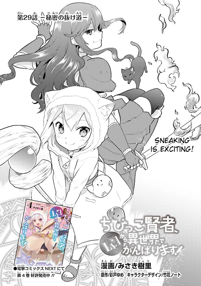 The Small Sage Will Try Her Best In the Different World from Lv. 1! chapter 29 page 2