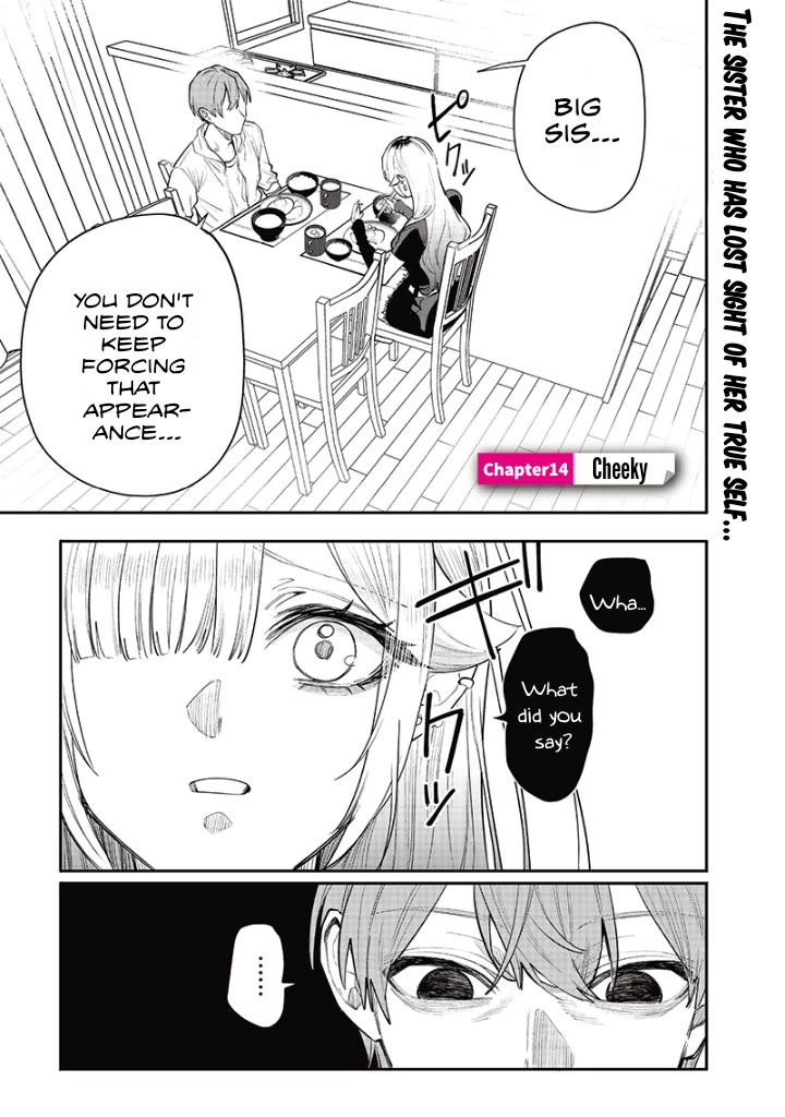 The Story of Making My Bitchy Gal Sister Understand chapter 14 page 1