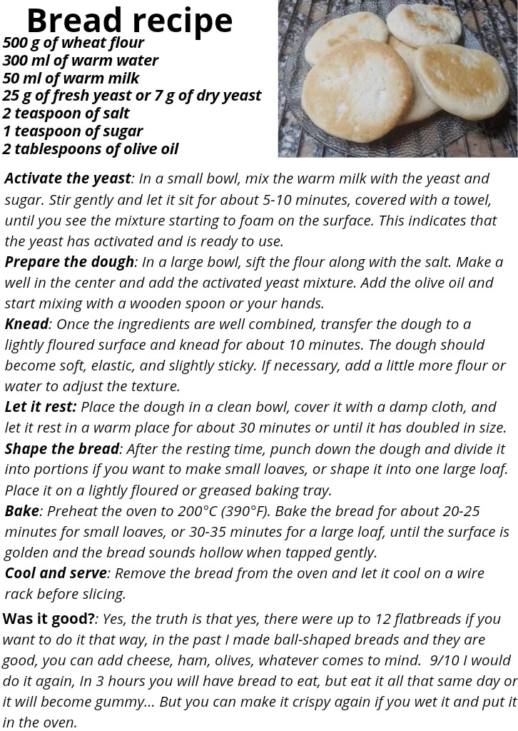 The Story of Making My Bitchy Gal Sister Understand chapter 14 page 11