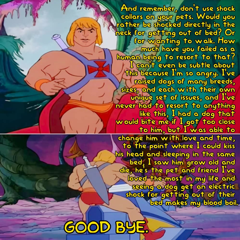 The Story of Making My Bitchy Gal Sister Understand chapter 53 page 11