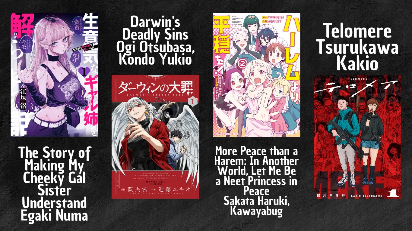 The Story of Making My Bitchy Gal Sister Understand chapter 54 page 12