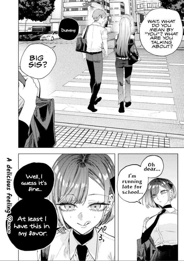 The Story of Making My Bitchy Gal Sister Understand chapter 63 page 8
