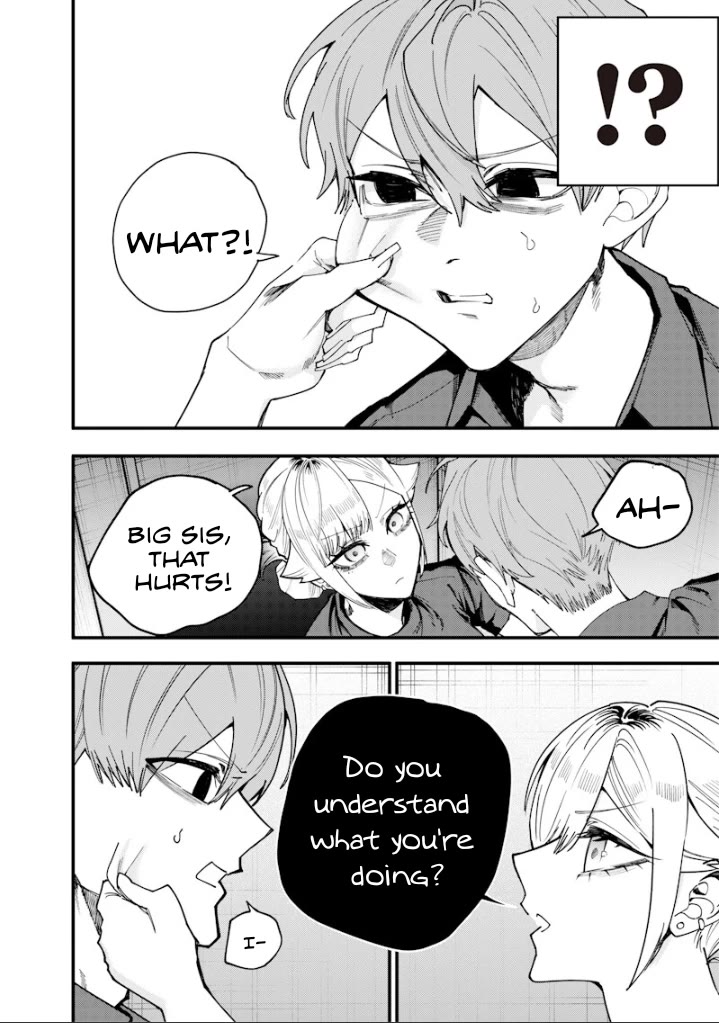 The Story of Making My Bitchy Gal Sister Understand chapter 73 page 2