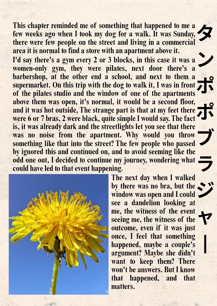 The Story of Making My Bitchy Gal Sister Understand chapter 74 page 12