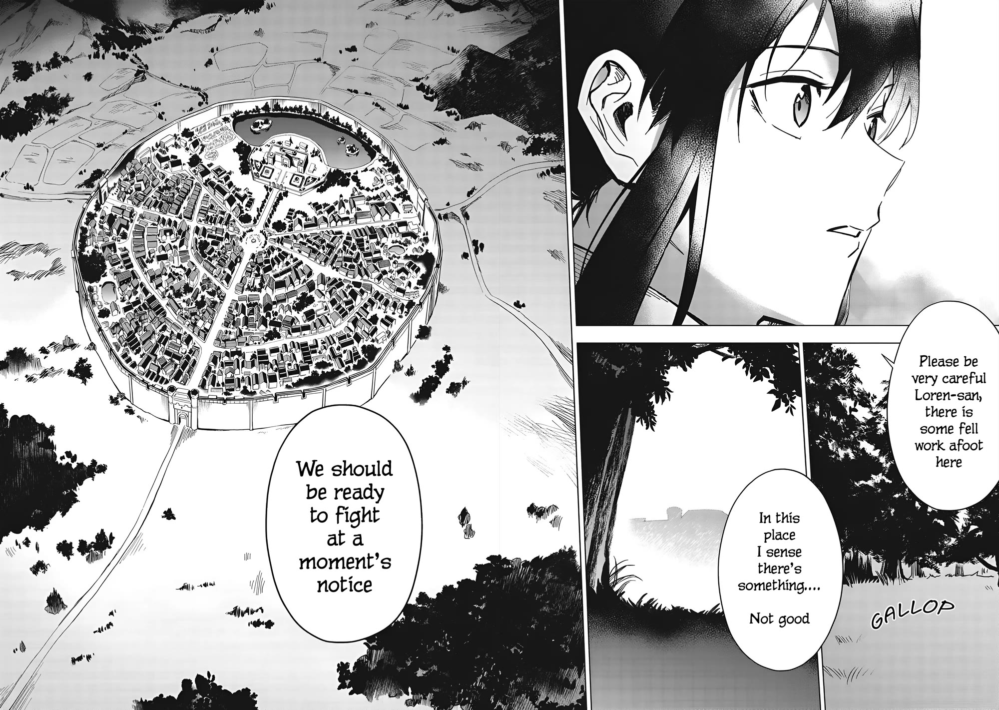 The Strange Adventure of a Broke Mercenary chapter 25.2 page 6