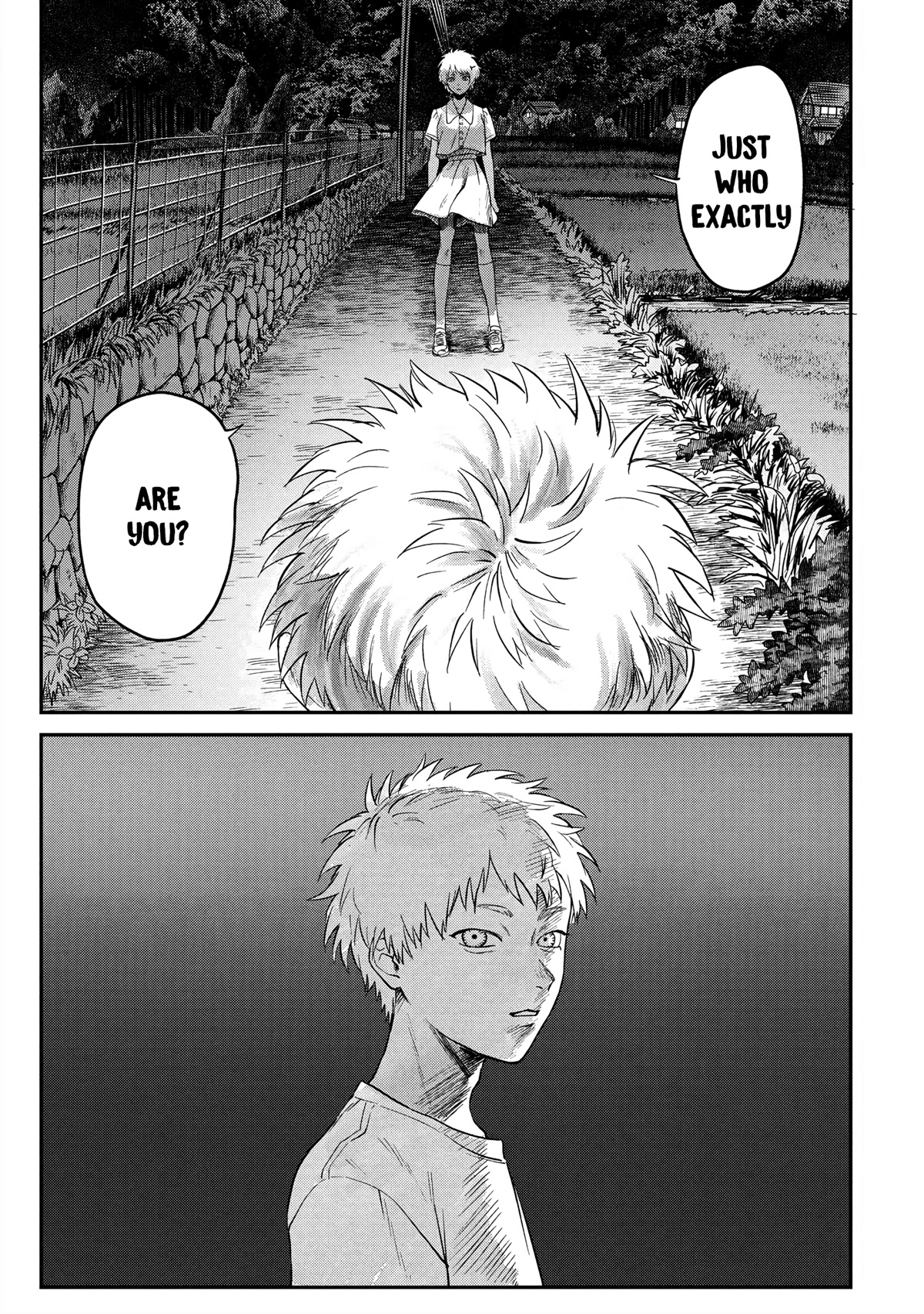 The Summer Hikaru Died chapter 15 page 13