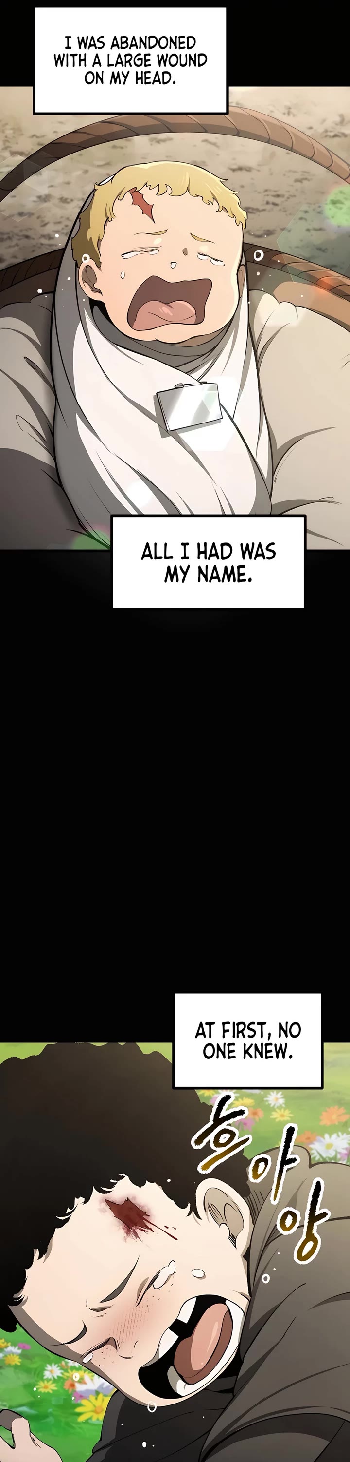 The Survival Story of the Sword King in Another World chapter 241 page 10