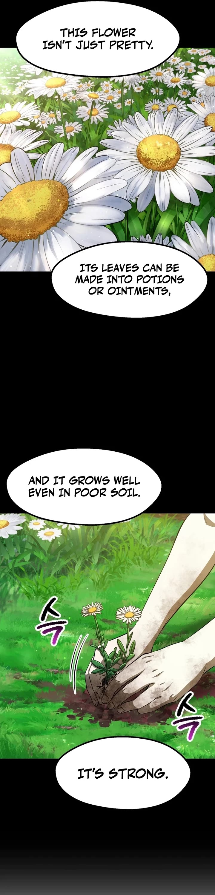 The Survival Story of the Sword King in Another World chapter 266 page 13