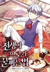 Cover of The Sweet Life of a Reincarnation Pro