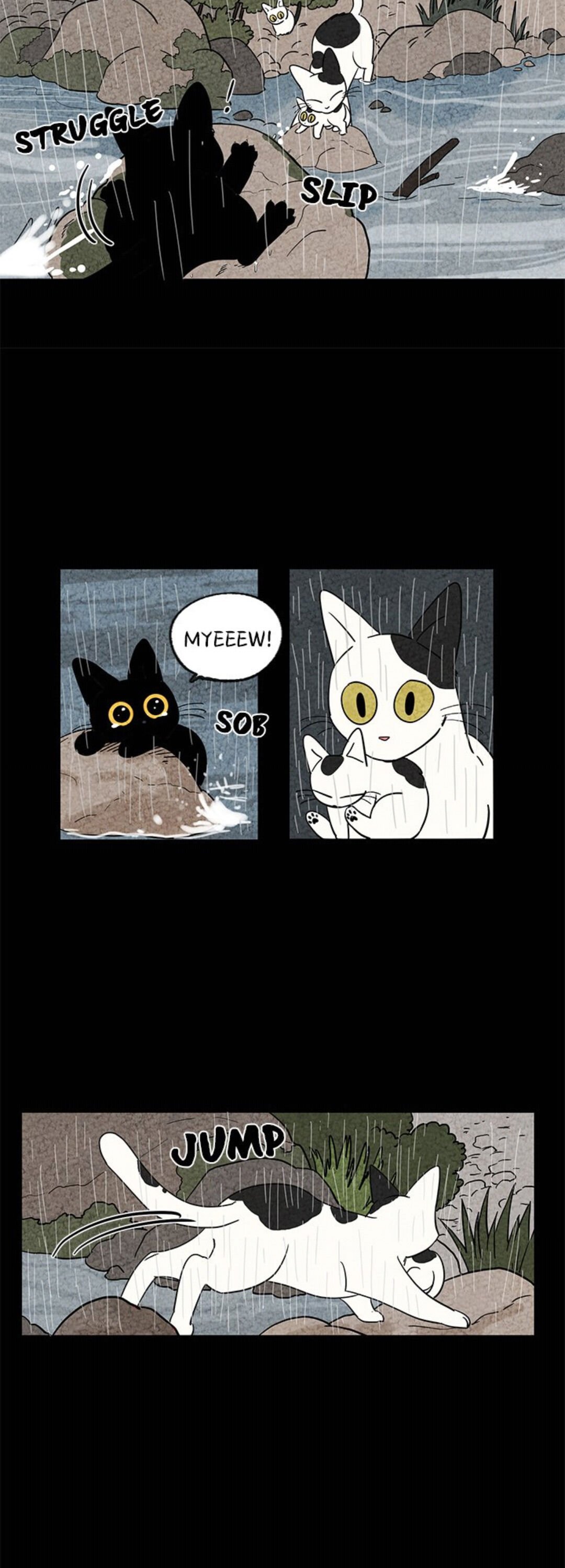 The Tale Of Goldiluck, The Black Kitten chapter 2 page 16