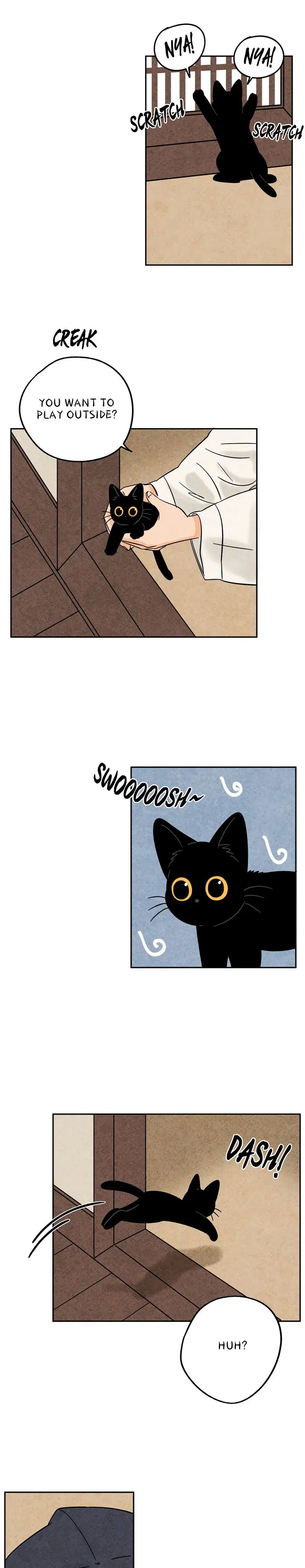 The Tale Of Goldiluck, The Black Kitten chapter 41 page 2