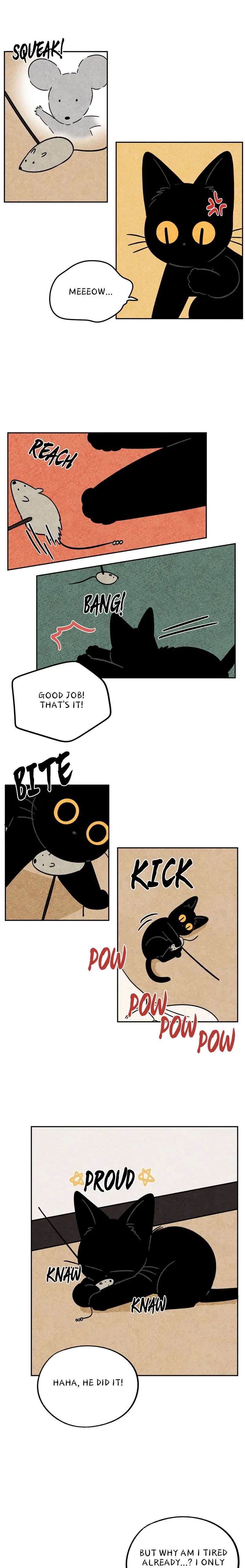 The Tale Of Goldiluck, The Black Kitten chapter 42 page 11