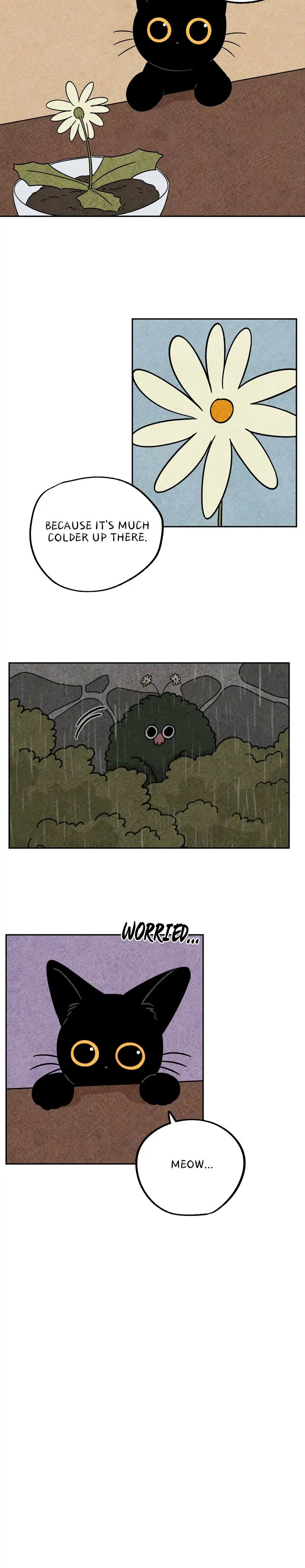 The Tale Of Goldiluck, The Black Kitten chapter 46 page 4