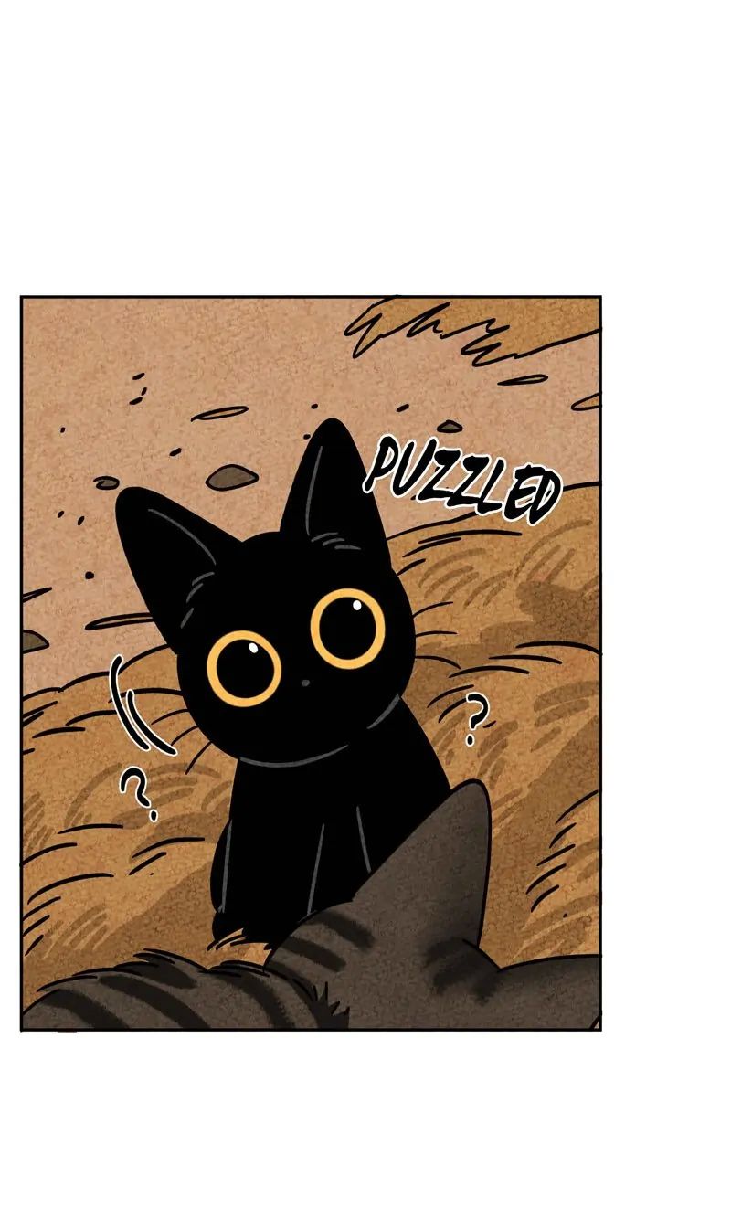 The Tale Of Goldiluck, The Black Kitten chapter 52 page 15