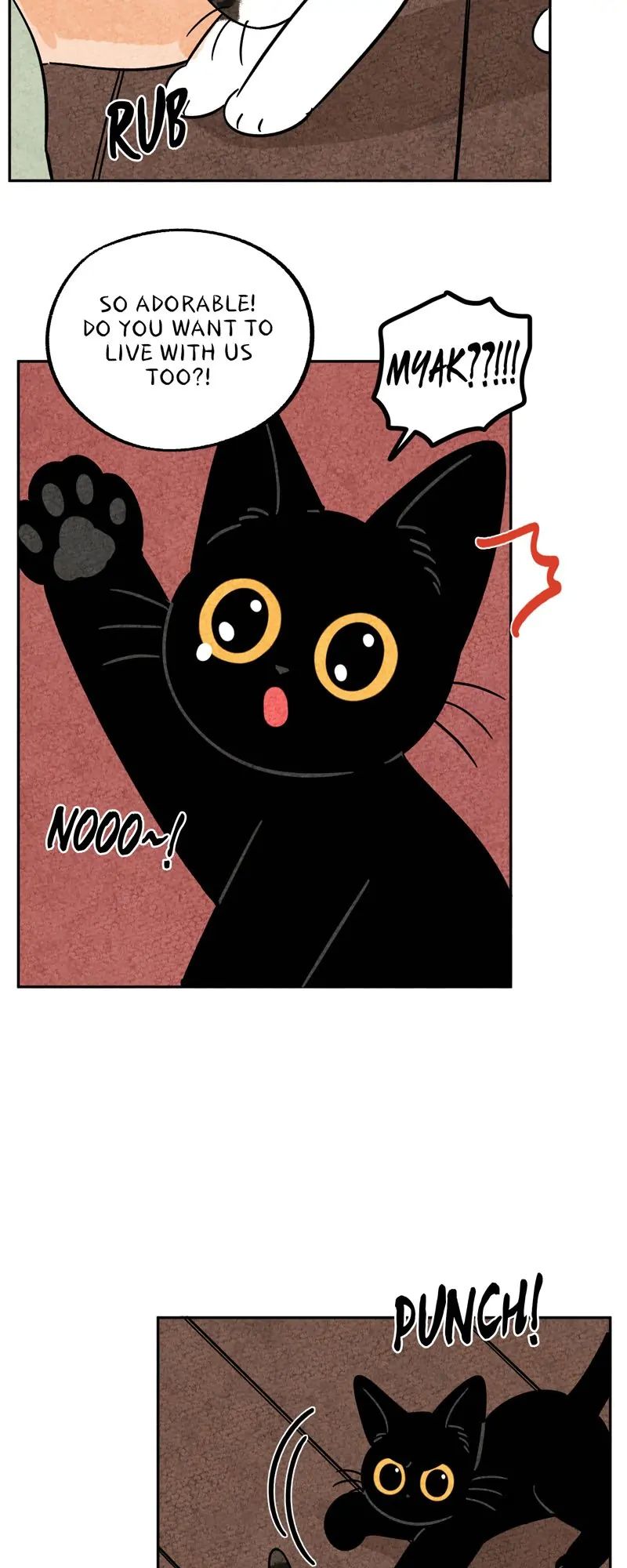 The Tale Of Goldiluck, The Black Kitten chapter 52 page 25