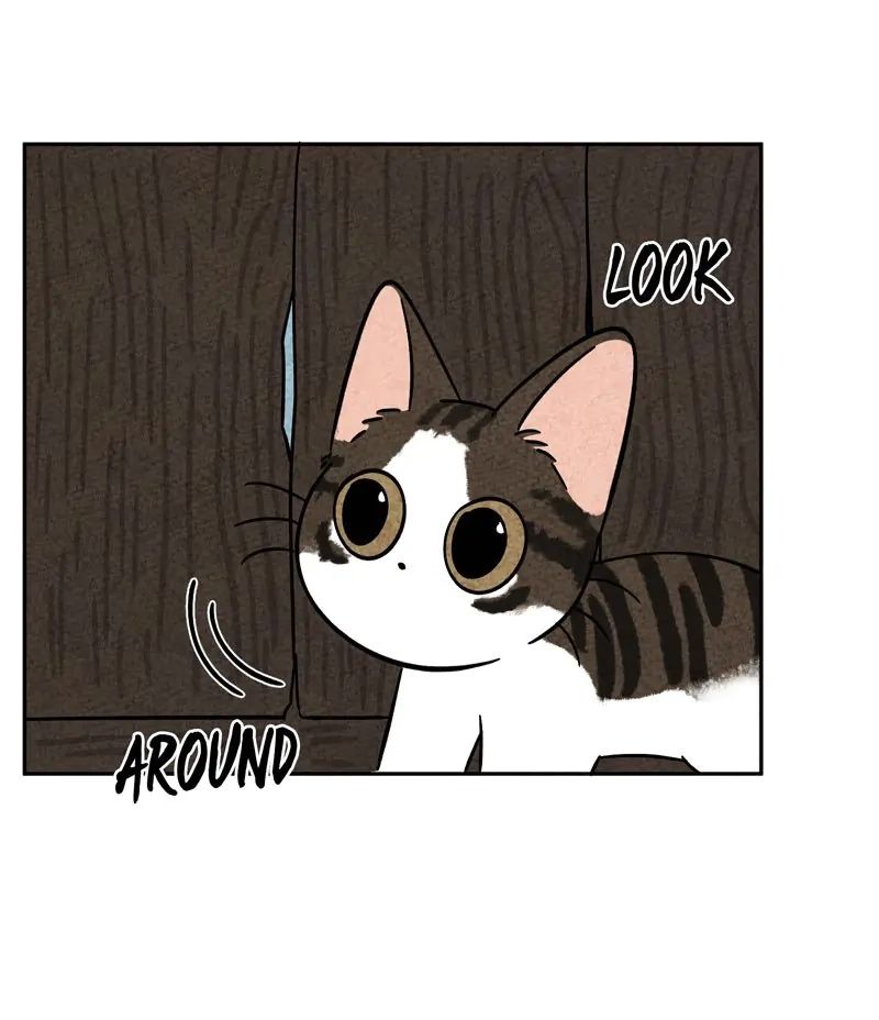 The Tale Of Goldiluck, The Black Kitten chapter 52 page 8