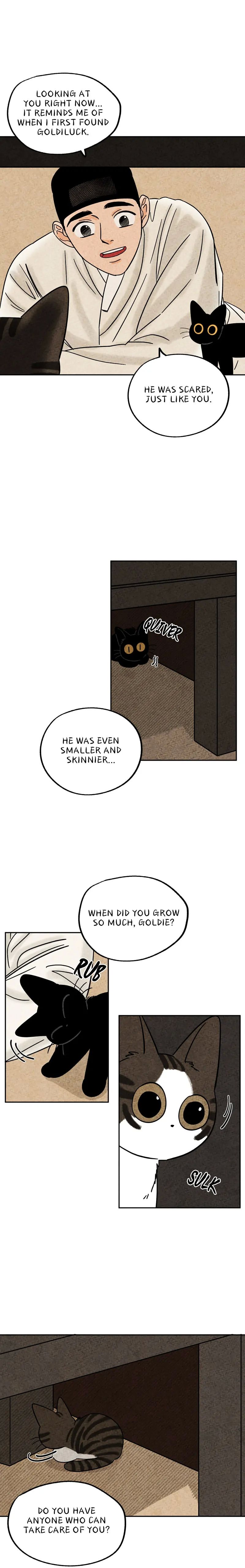 The Tale Of Goldiluck, The Black Kitten chapter 56 page 14