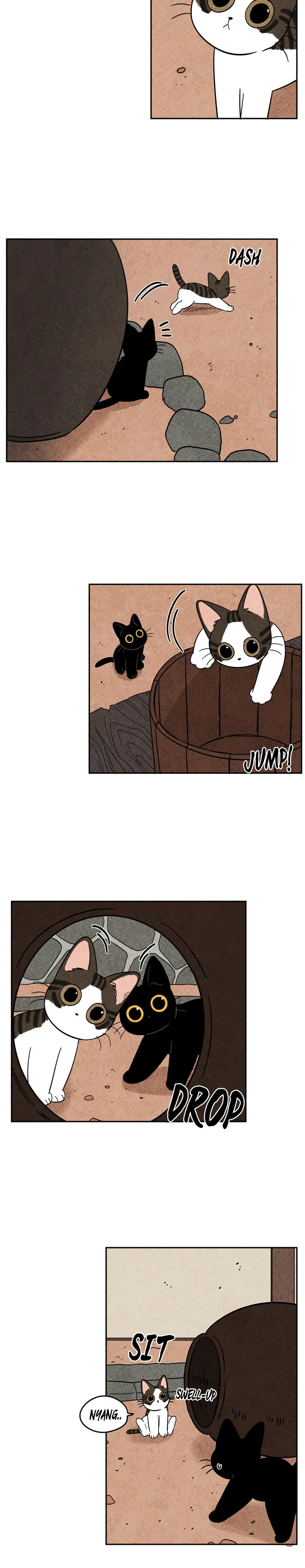 The Tale Of Goldiluck, The Black Kitten chapter 61 page 13
