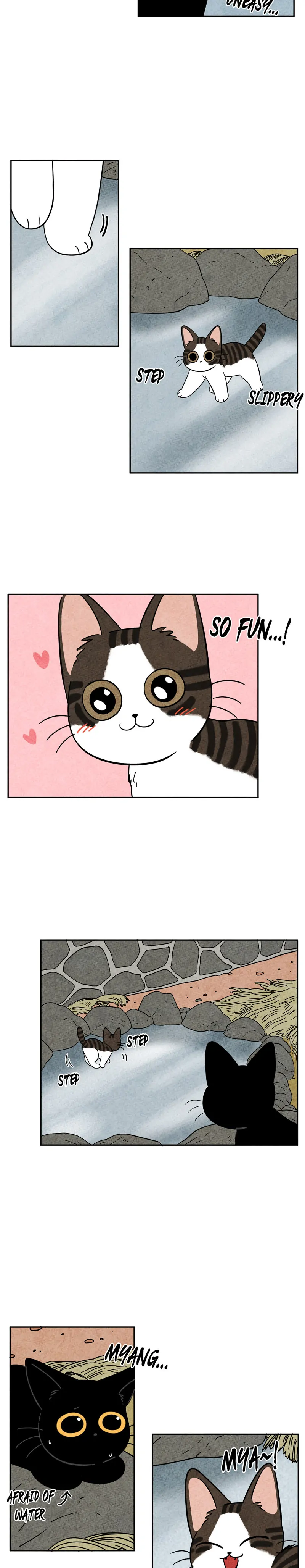 The Tale Of Goldiluck, The Black Kitten chapter 61 page 15