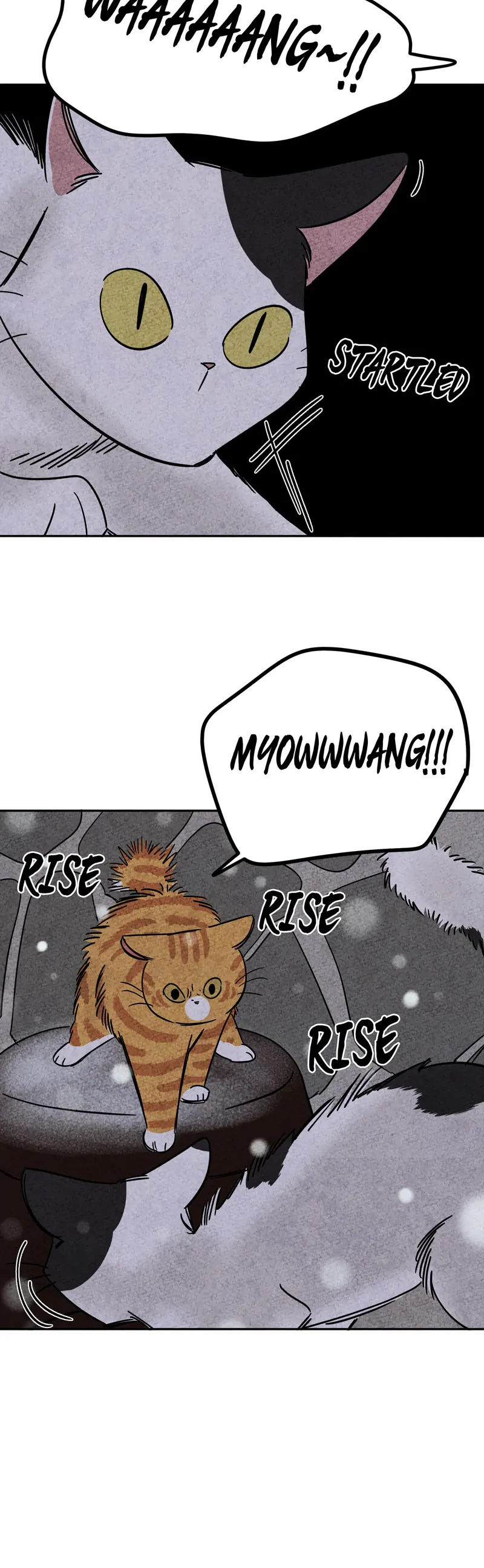 The Tale Of Goldiluck, The Black Kitten chapter 66 page 18