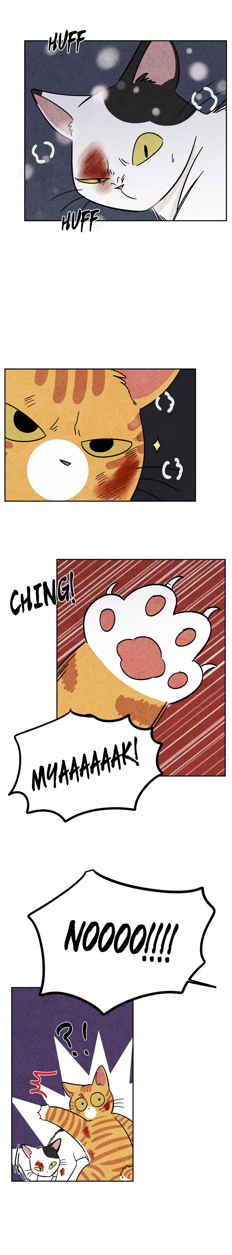 The Tale Of Goldiluck, The Black Kitten chapter 67 page 4