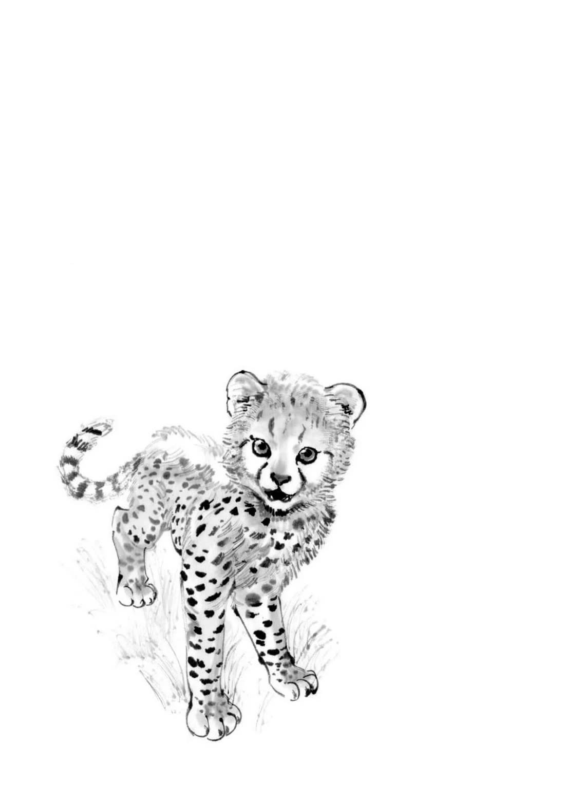 The Tiger Won't Eat the Dragon Yet. chapter 20 page 2