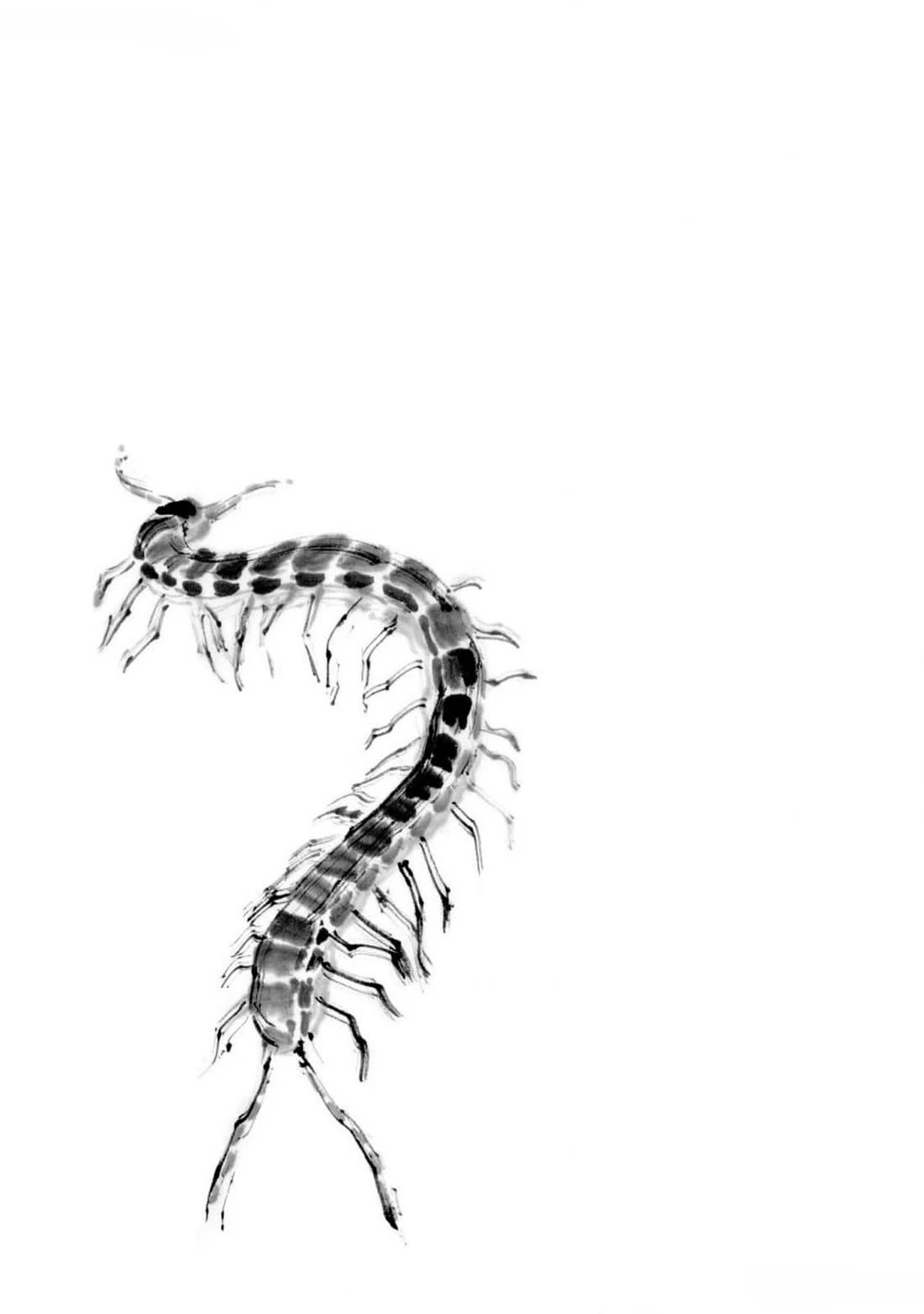 The Tiger Won't Eat the Dragon Yet. chapter 22 page 2