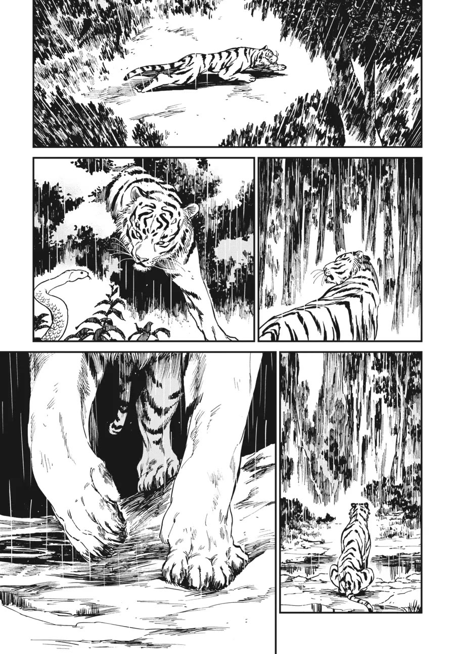 The Tiger Won't Eat the Dragon Yet. chapter 4 page 13