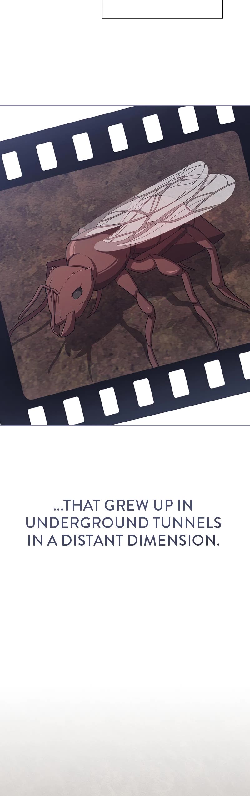 The Tutorial Tower's Advanced Player chapter 210 page 24