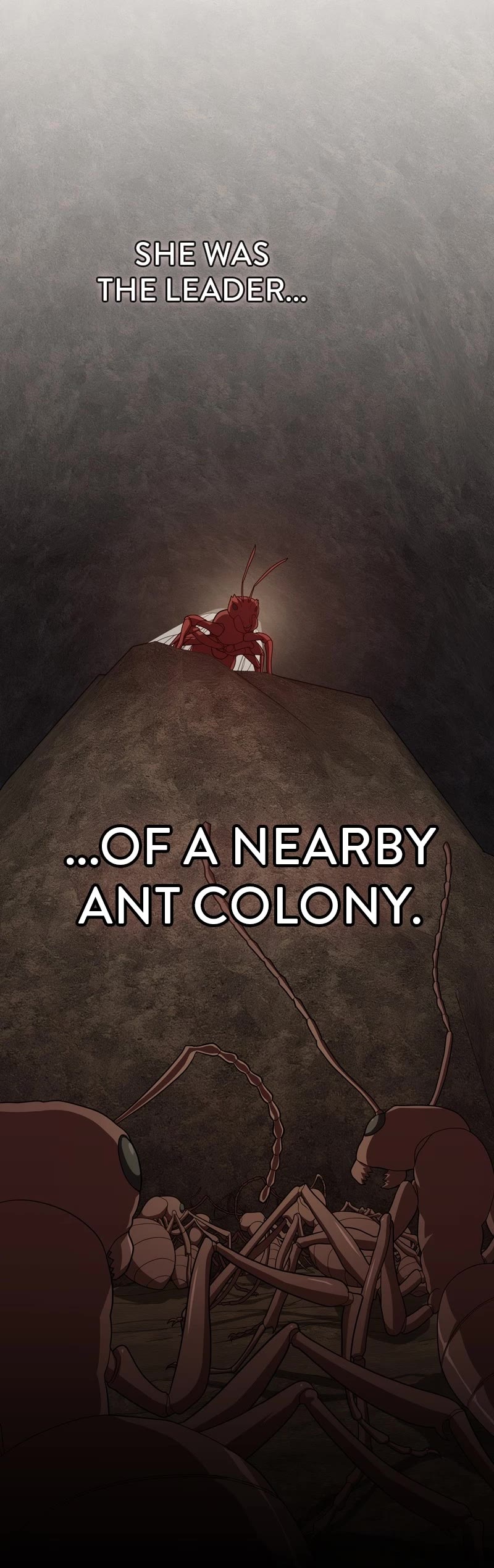 The Tutorial Tower's Advanced Player chapter 210 page 25