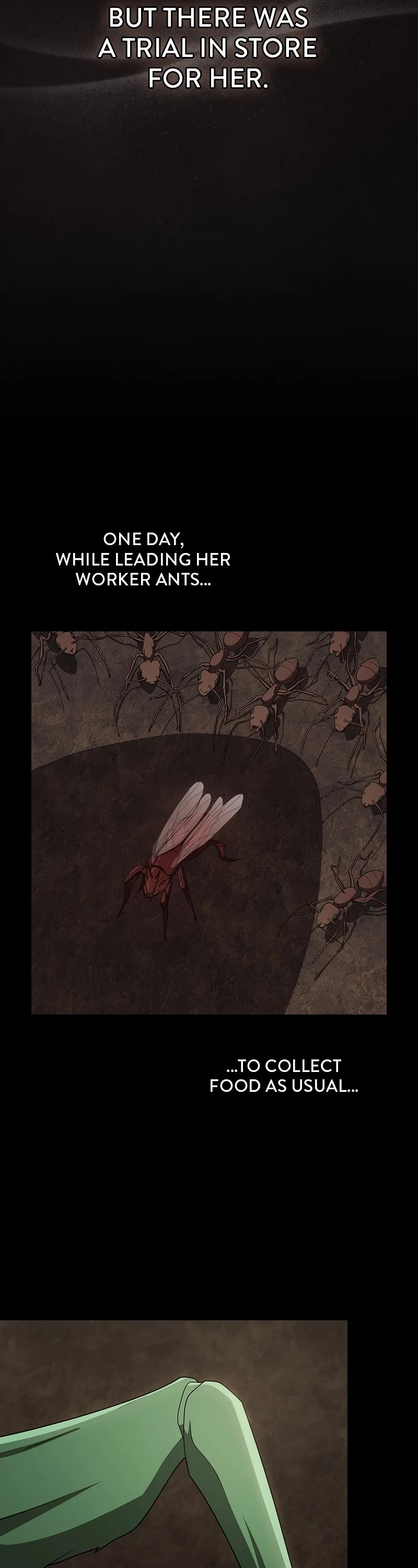 The Tutorial Tower's Advanced Player chapter 210 page 27