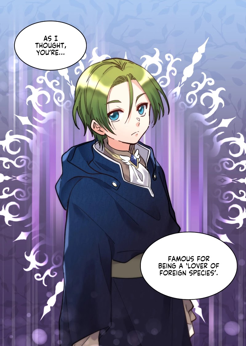 The Twin Siblings’ New Life chapter 70 page 47