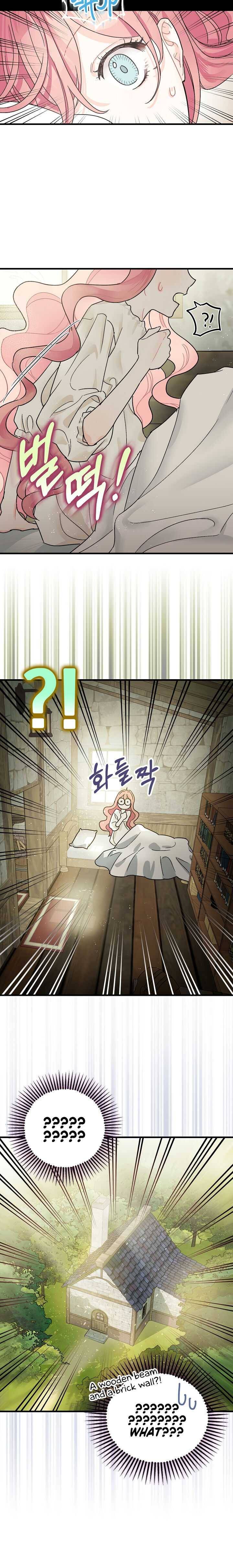 The Tyrant's Tranquilizer chapter 1 page 17