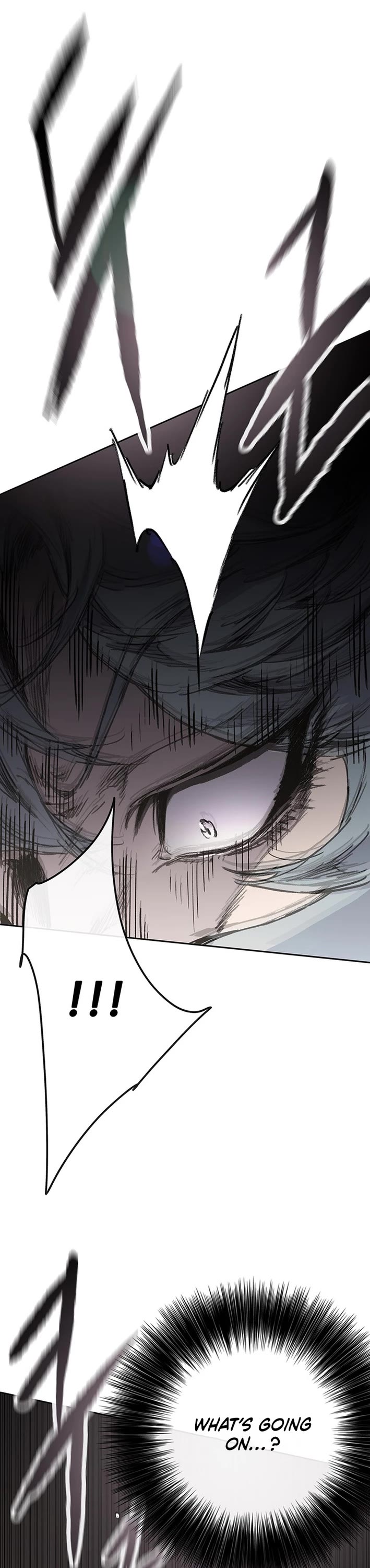 The Undefeatable Swordsman chapter 273 page 13