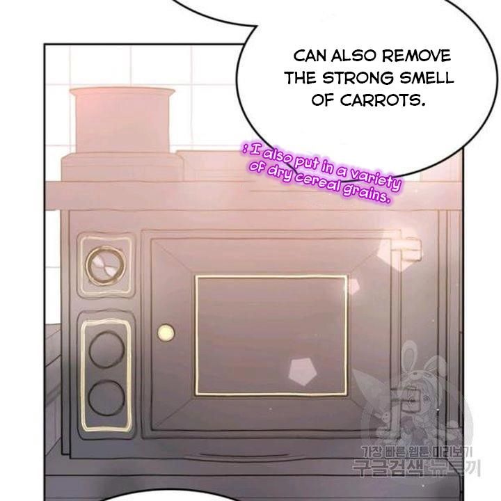 The Villainous Princess Wants To Live In A Gingerbread House chapter 39 page 21