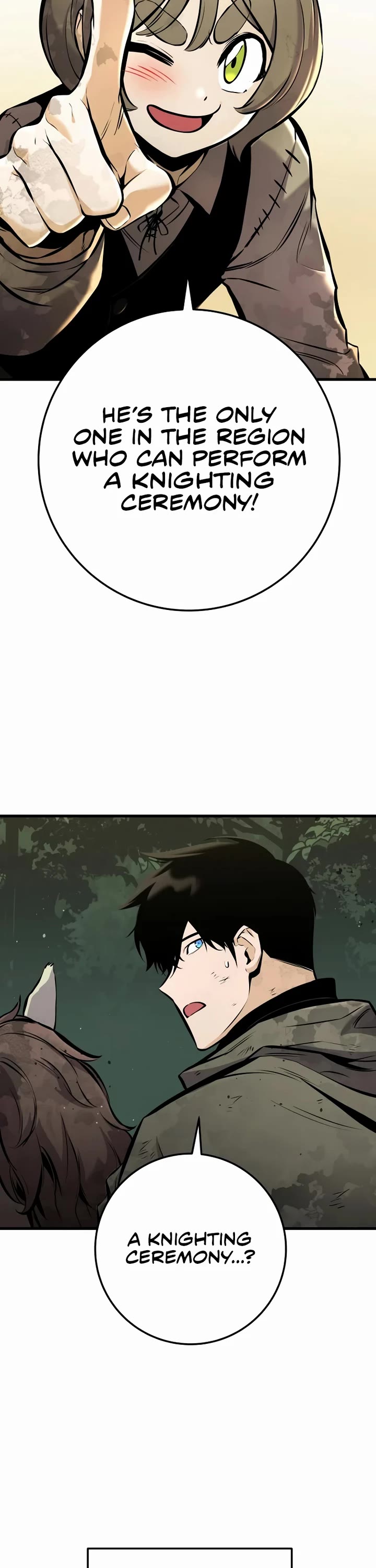 The Wandering Knight's Survival Manual chapter 37 page 37