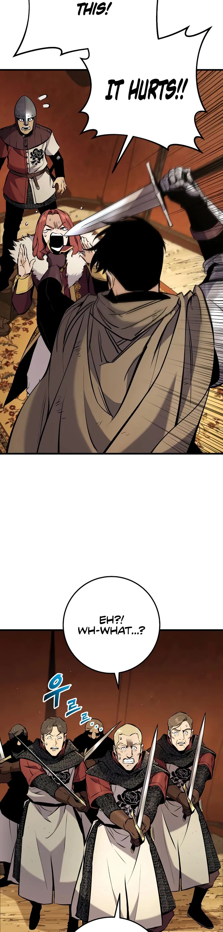 The Wandering Knight's Survival Manual chapter 40 page 50
