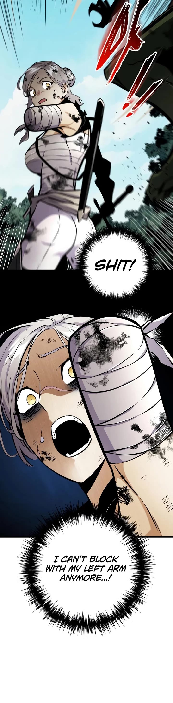 The Wandering Knight's Survival Manual chapter 52 page 38