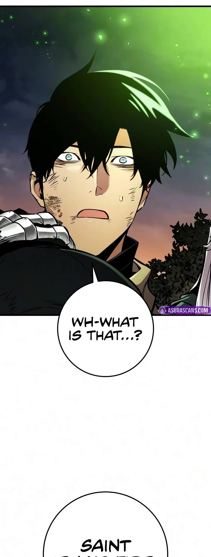 The Wandering Knight's Survival Manual chapter 54 page 71