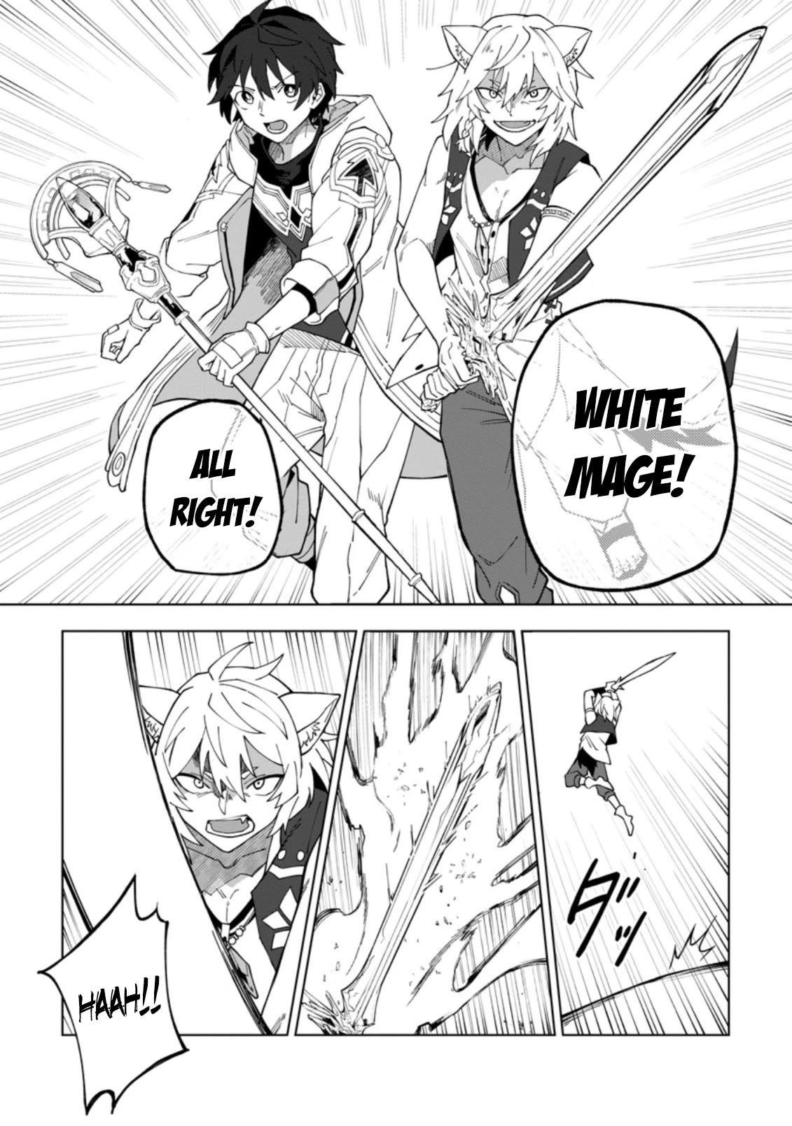 The White Mage Who Was Banished from the Hero's Party is Picked Up by an S Rank Adventurer~ This White Mage is too out of the Ordinary! chapter 18.1 page 11