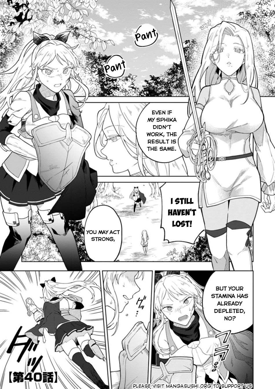 The White Mage Who Was Banished from the Hero's Party is Picked Up by an S Rank Adventurer~ This White Mage is too out of the Ordinary! chapter 40 page 2